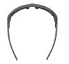 Купить Очки Alpina Skywalsh Q Midnight-Grey Matt/Blue Mirror Cat.4 Fogstop в Краснодаре