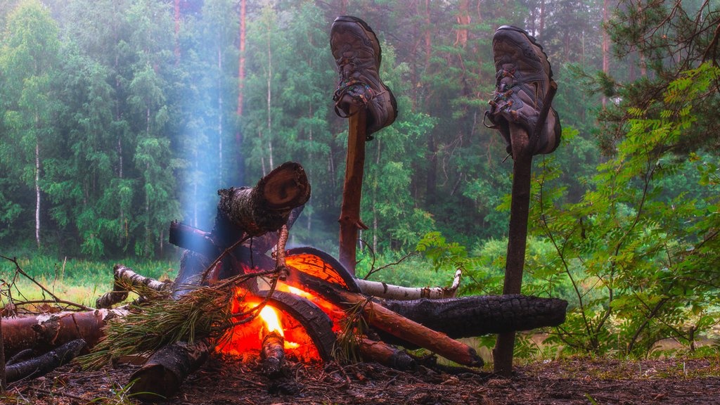 0pMZjImPL1U.jpg 0pMZjImPL1U.jpg