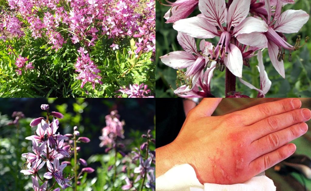 07062023-001.jpg 07062023-001.jpg