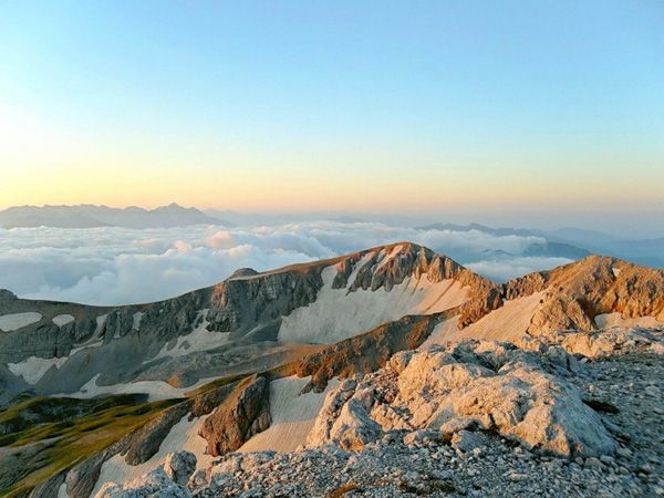 original (1).jpg original (1).jpg