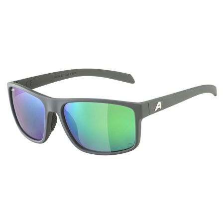 Купить Очки Alpina Nacan I P Midnight-Grey Matt/Pol Green I Jade Mirror Cat.3 в Краснодаре
