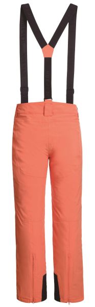 Брюки горнолыжные Icepeak 657038839IV 455 в Краснодаре