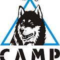 Кошки CAMP в Краснодаре