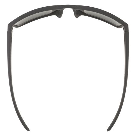 Купить Очки Alpina Nacan I P Black Matt/Pol Blue I Blue Mirror Cat.3 в Краснодаре