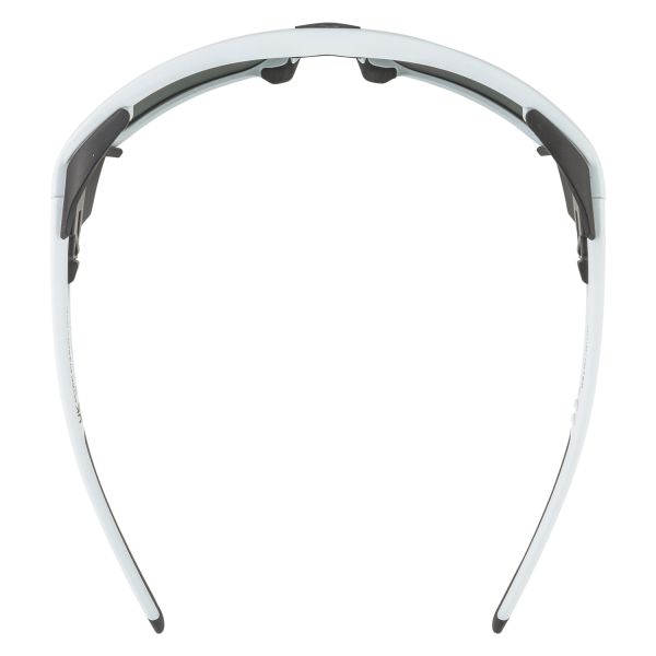 Купить очки alpina skywalsh q smoke-grey matt/green mirror cat.4 fogstop в Краснодаре