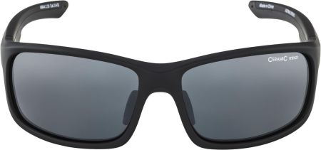 Купить Очки Alpina Lyron S Black Matt/Black Mirror Cat.3 в Краснодаре