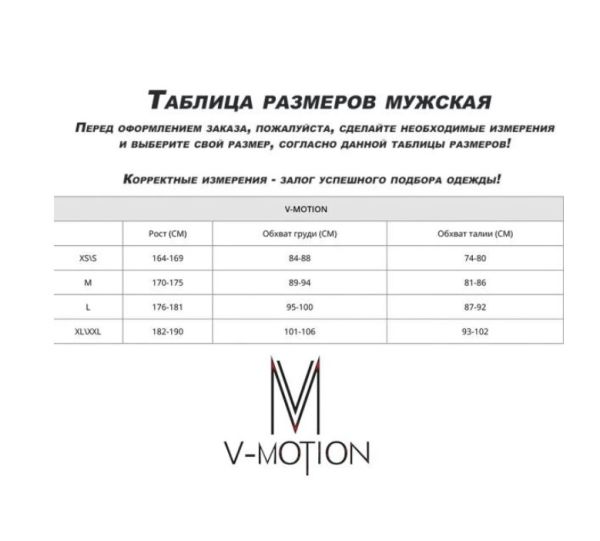 Термобельё V-MOTION Base мужской серебристый в Краснодаре