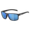 Купить Очки Alpina Nacan I P Black Matt/Pol Blue I Blue Mirror Cat.3 в Краснодаре